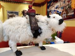 -如意林卡藏餐吧 (九寨沟店)