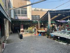 -曲阳花鸟市场(曲阳路店)