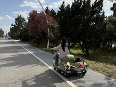 -山东八大碗山东老字号