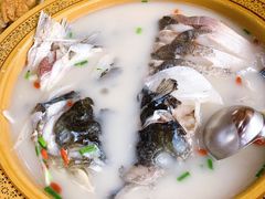 -渔老大·有机鱼馆·老字号(古城店)