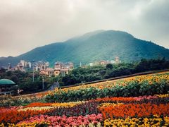 -东部华侨城