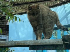 -青藏高原野生动物园