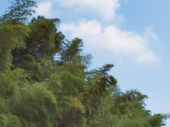 -九龙潭景区
