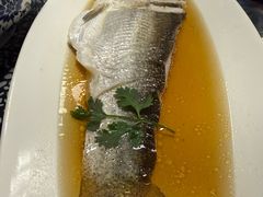 清蒸白水鱼-三林本帮馆(中林街店)