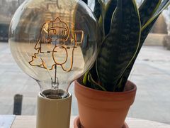 -Dinoo 片场咖啡(酒仙桥店)