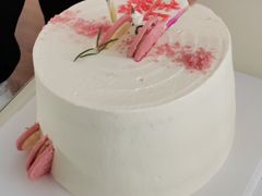 -今日·TODAY手作低脂动物奶油蛋糕定制(高新万达店)