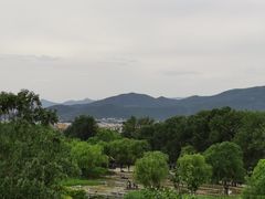 -北坞公园