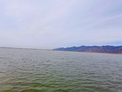 -哈素海