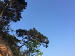 -羚羊峡古栈道森林公园