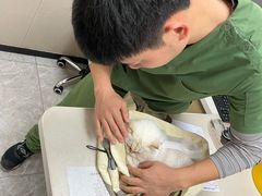 -瑞鹏宠物医院·骨外科·心肾科·肿瘤科(九亭店)