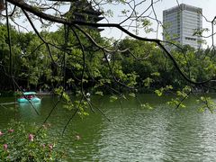 -浮庄