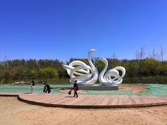 -东郊湿地公园