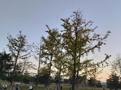 -汉长安城未央宫国家考古遗址公园