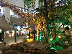 -甘肃地质博物馆