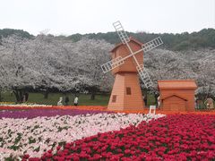 -苏州上方山国家森林公园