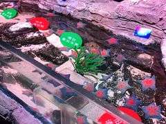 -沈阳海洋探索中心