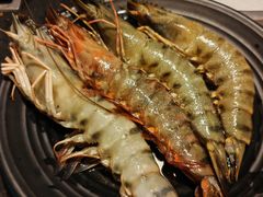 -熊出没日本烧肉放题