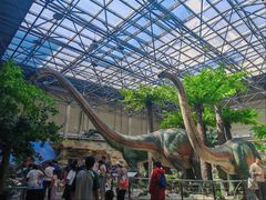 -国家自然博物馆