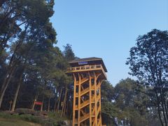 -缙云山景区