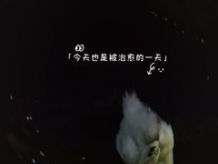 -四海公园(南山区)