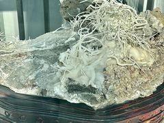 -房山世界地质公园博物馆