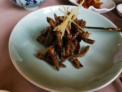 -夜上海(新天地店)