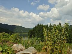 -瓦屋山景区