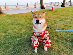 -星巴克(珠海仁恒滨海中心店)