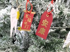 -宁波口腔医院(月湖分院)