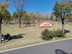-牛岗山公园