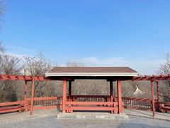 -滨河世纪广场公园