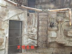 -石家庄市动物园