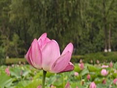 -云龙湖旅游景区