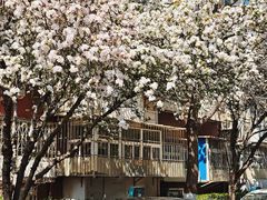 -香港威特瑞茶餐厅(小白楼音乐厅店)