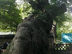 -青岛崂山太清宫