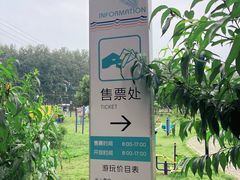 -渌洋湖湿地公园