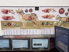-顺强宠物诊所·狂犬免疫·夜诊·骨科(嘉定店)