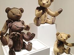 -济州岛泰迪熊博物馆