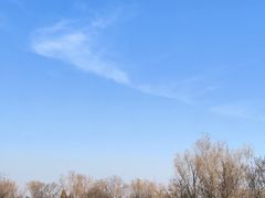 -盐城丹顶鹤湿地生态旅游区