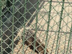 -宿豫区运河湾森林动物园