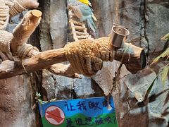 -正佳雨林生态植物园