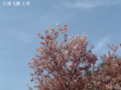 -西安青龙寺遗址景区