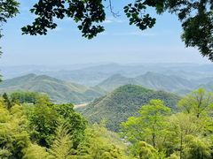 -莫干山风景区