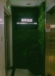 -藤野造型