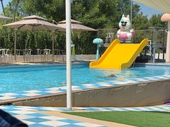 -爪吧宠物乐园 (温榆河示范区店)