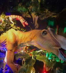 -恐龙探索乐园(磁器口店)