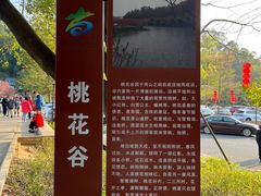 -南国桃园旅游度假区