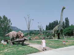 -西部长青自然儿童乐园