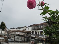 -莲花岛景区