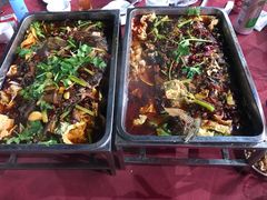 -重庆火锅水库鱼庄(南油店)